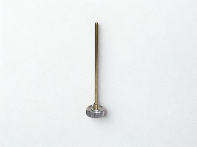 Bix019L Long spout gas refill adapter.